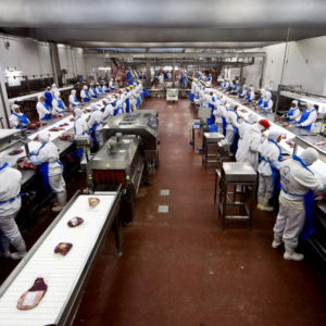 Los pilares de la sustentabilidad, o acerca de cómo trabajamos para lograr un planeta saludable