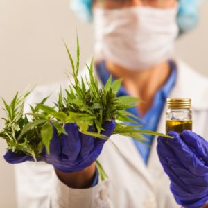 Son argentinos y lanzaron la primera plataforma de cannabis medicinal con atención médica holística