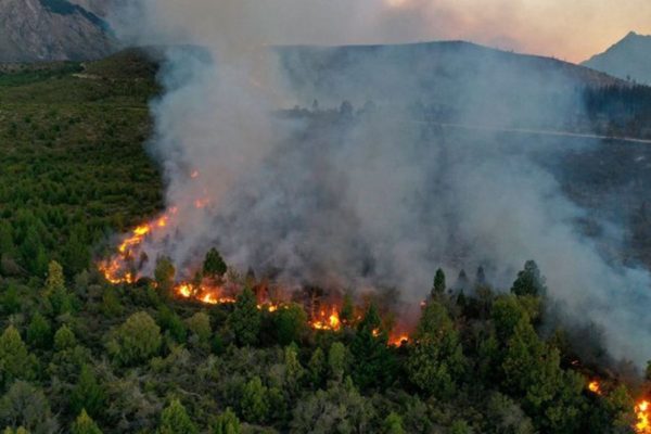 Incendios en los bosques nativos patagónicos: lo combaten 300 brigadistas y 12 aeronaves