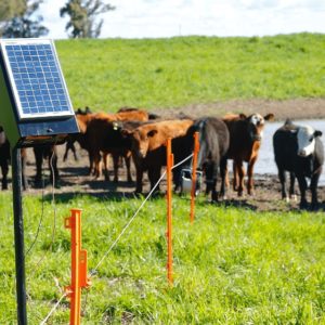 Agro sustentable: entregarán más de 2000 boyeros solares a productores de 8 provincias