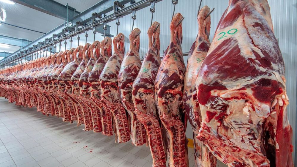 En Europa dejarán de vender carne de Brasil por la destrucción de la selva amazónica