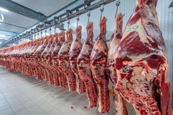 En Europa dejarán de vender carne de Brasil por la deforestación del Amazonas: las empresas afectadas