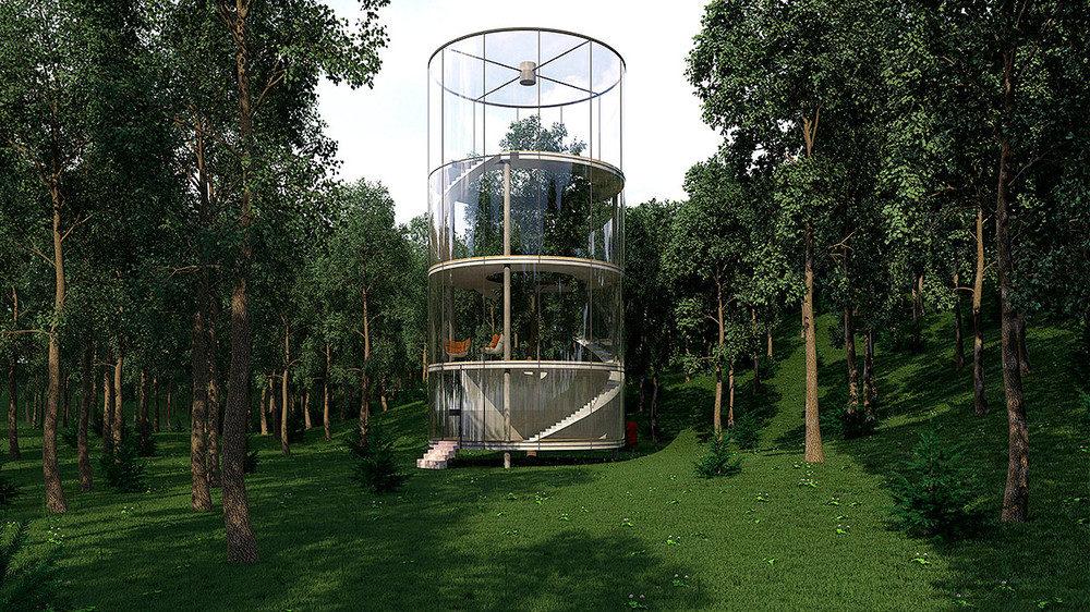 En imágenes: así es una casa sustentable de vidrio y construida alrededor de un árbol en medio de un bosque