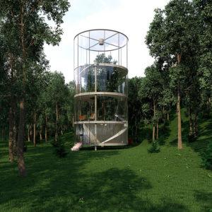 En imágenes: así es una casa sustentable construida alrededor de un árbol en el bosque