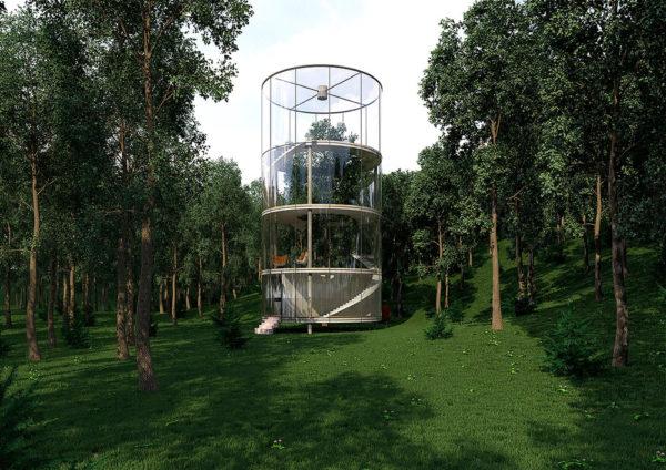 En imágenes: así es una casa sustentable construida alrededor de un árbol en el bosque