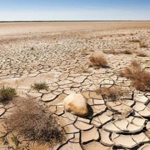 Ya agotamos todos los recursos naturales de este año, ¿se puede revertir la situación?