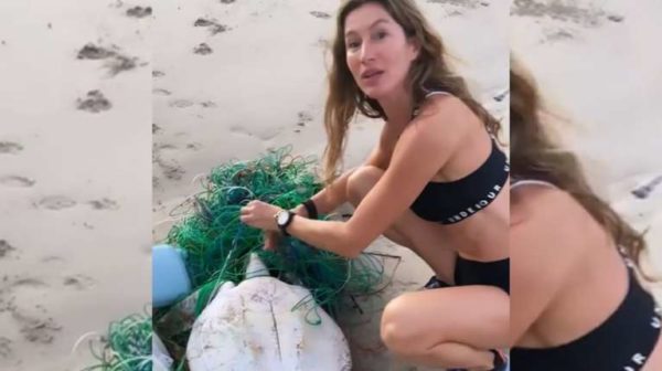 Gisele Bündchen salvó a una tortuga marina atrapada en una red de pesca: su mensaje de concientización