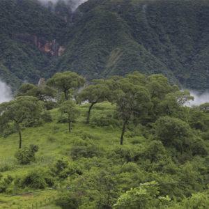 Grupo San Cristóbal presentó un nuevo reporte de Sustentabilidad: los ejes de acción