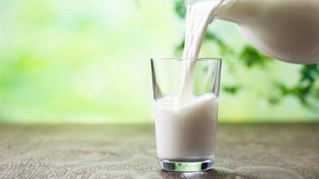 Dia Mundial de la leche: solo 1 de cada 10 argentinos alcanza las 3 porciones recomendadas de lácteos