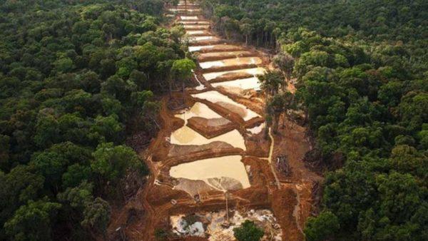 Brasil: cancelan una serie de proyectos para la extracción de oro en la Amazonía