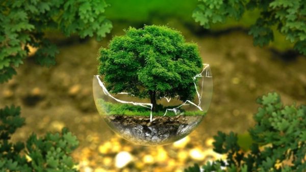 Qué son las «Ecofintechs» y cómo combinan las finanzas descentralizadas con la remediación ambiental