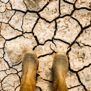 Cuáles fueron las palabras más utilizadas para hablar sobre cambio climático en los medios