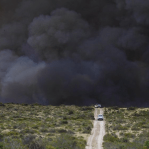 La Patagonia, bajo fuego: en Puerto Madryn, entre 80 y 90 mil hectáreas fueron arrasadas por incendios