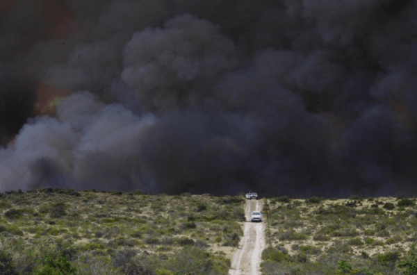 La Patagonia, bajo fuego: en Puerto Madryn, entre 80 y 90 mil hectáreas fueron arrasadas por incendios