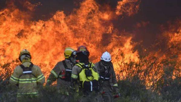 Incendio en Puerto Madryn: la inconcebible cifra de hectáreas que destrozó el fuego