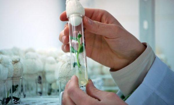 Argentina es parte del ranking de 10 países con más empresas de biotecnología