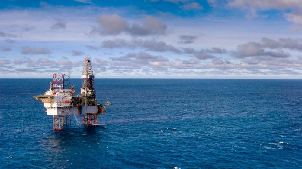 Mirá #Atlanticazo, la campaña que impulsan artistas, científicos y ambientalistas contra la exploración petrolera en Mar Argentino