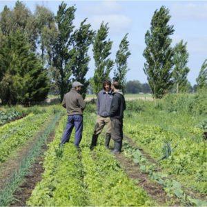 Cómo funciona Mayma Bio, el programa que busca fortalecer a productores en iniciativas sustentables