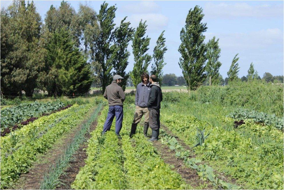 Mayma Bio: un programa que ayuda a productores de alimentos en la transición hacia la agroecología y la economía regenerativa.