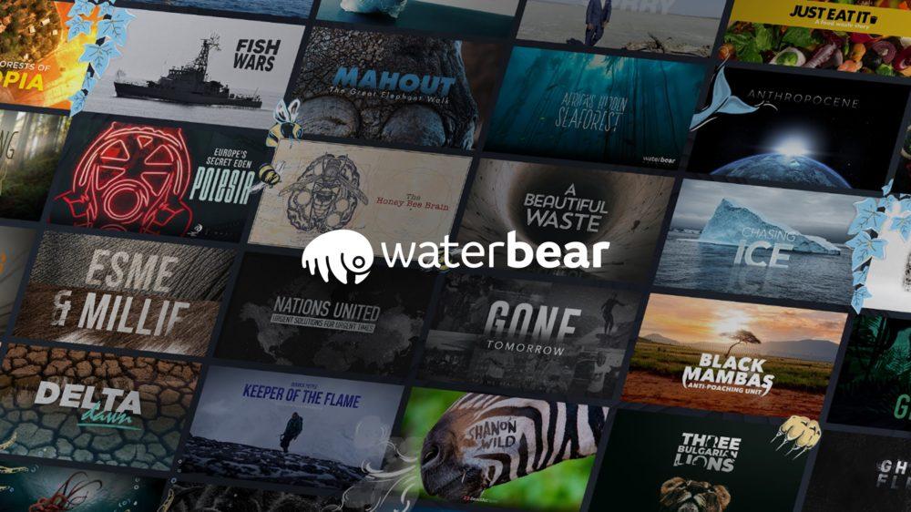 Qué es WaterBear, el "Netflix" interactivo y gratuito que llegó a la Argentina