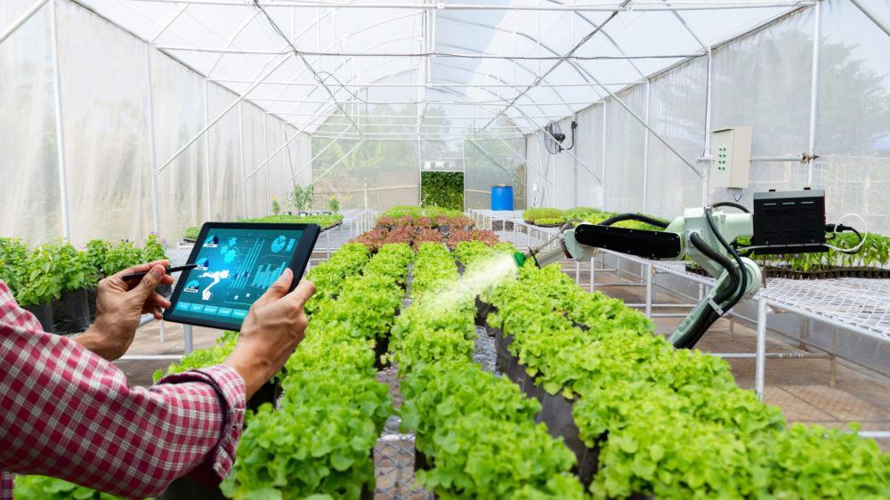 Ahro sustentable: Santander se une a la fintech Agrofy para potenciar la digitalización de los negocios