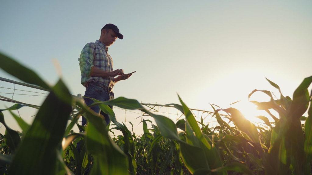 Agro sustentable: Santander se une a la fintech Agrofy para potenciar la digitalización de los negocios