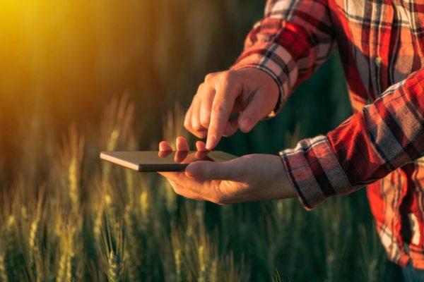 Crearon una app que poscosecha permite guardar los granos de una manera más sustentable