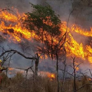 Incendios forestales: el Gobierno nacional decretó la emergencia ígnea en Argentina