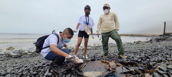 Perú declaró la emergencia ambiental en la zona costera por el derrame petróleo