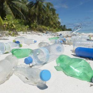 Un gigante mundial reemplazará el plástico de sus paquetes por un material renovable para 2030
