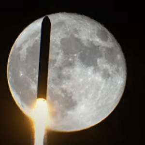 Un cohete de Elon Musk se estrellará contra la Luna: a qué hora se podrá ver en el cielo