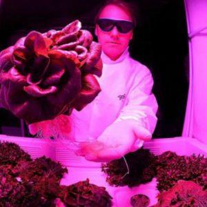 Rosas de San Valentín: así se cultivan las flores en el espacio, según la NASA