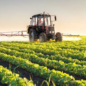 Diferencia entre agrotóxicos y agroquímicos: qué son y quiénes los usan