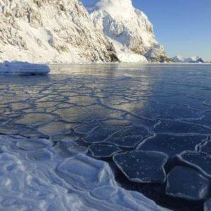 Hielo marino en la Antártida: un estudio comprobó que se redujo a la menor superficie de la historia