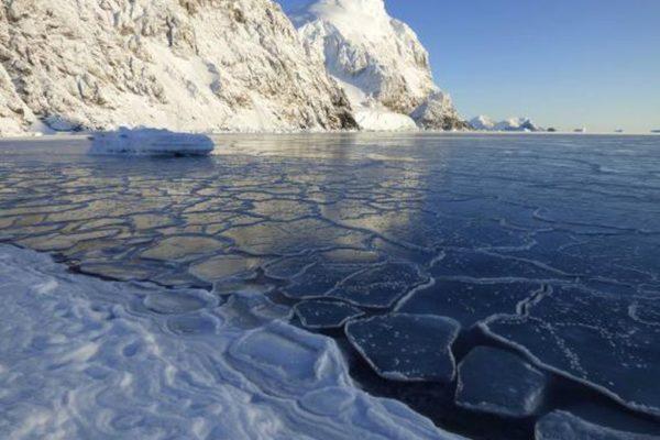 Hielo marino en la Antártida: un estudio comprobó que se redujo a la menor superficie de la historia
