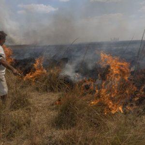 Corrientes: más de un millón de hectáreas quemadas por los incendios