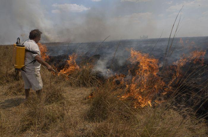 Corrientes: más de un millón de hectáreas quemadas por los incendios
