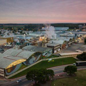 Arcor, en primera persona: el camino que recorrió el Grupo para crear una empresa sostenible