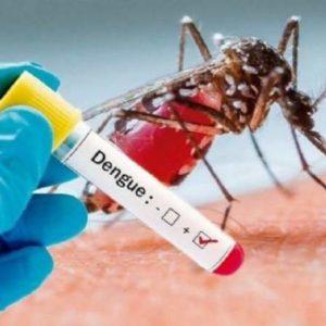 Aprueban en el país la primera vacuna contra el dengue: en qué casos hay que aplicarla