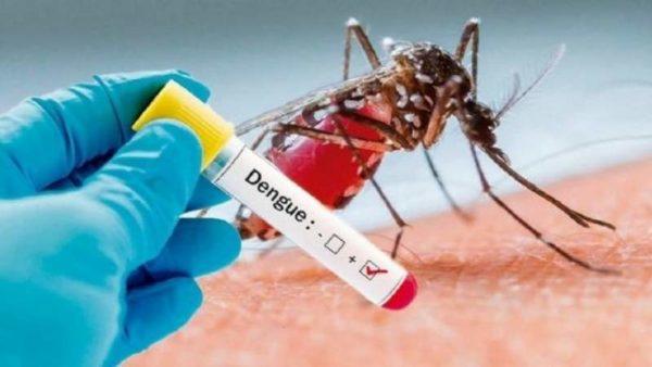 Aprueban en el país la primera vacuna contra el dengue: en qué casos hay que aplicarla