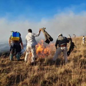 Incendios en Corrientes: declararon el estado de desastre agropecuario en la provincia