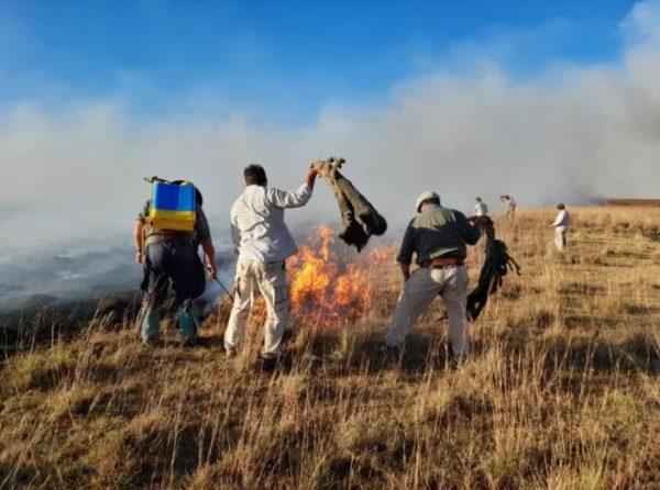 Incendios en Corrientes: declararon el estado de desastre agropecuario en la provincia