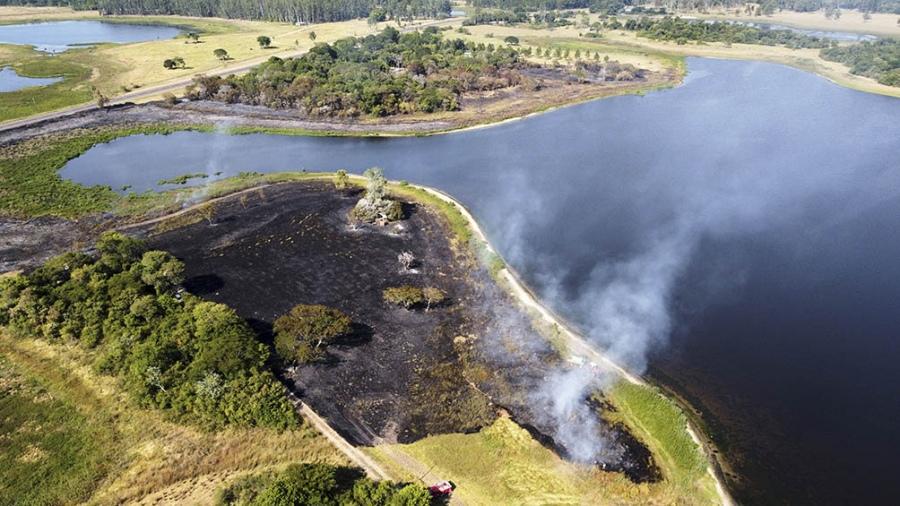 En Corrientes, los incendios rurales ya afectan a 519 mil hectáreas