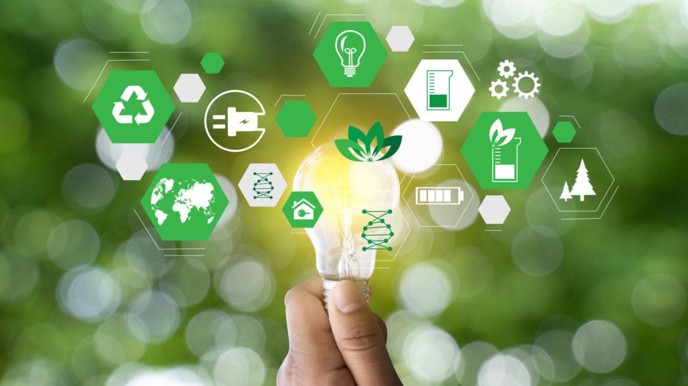CCU busca startups que apuesten por el medioambiente y la sustentabilidad