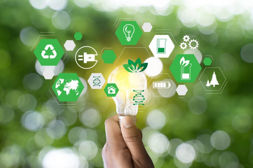 CCU busca startups que apuesten por el medioambiente y la sustentabilidad