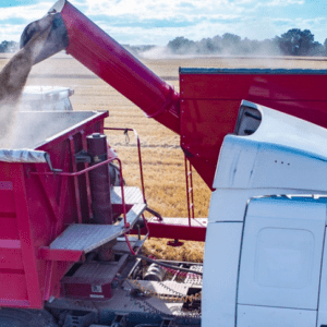 España y Francia proponen comprarle cereales a la Argentina: “Necesitamos que la UE flexibilice la importación»