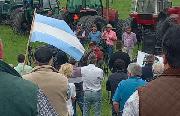 Reabrieron las exportaciones de harina y aceite de soja: el campo marchó en contra de las medidas de Nación