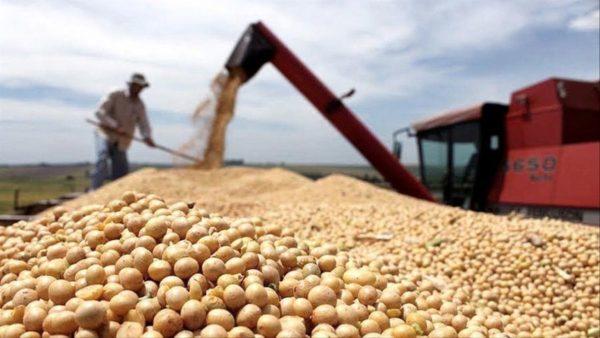 El Gobierno cerró las exportaciones de harina y aceite de soja: ¿Habrá suba de retenciones?