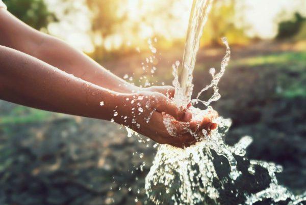 Día Mundial del Agua: por qué las aguas subterráneas son las protagonistas