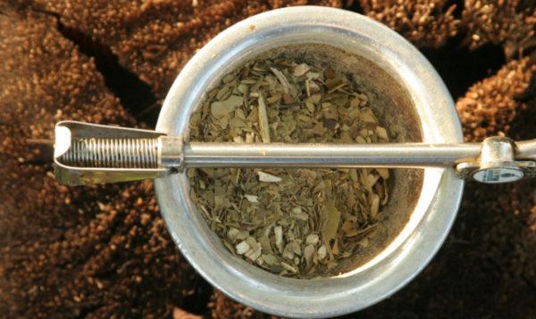 Innovación en la yerba mate: crean una calculadora para medir la huella de carbono